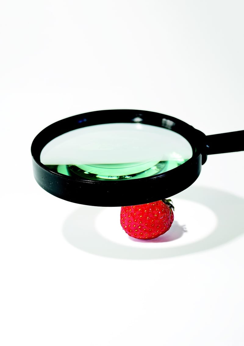 Magnifying Glass Research